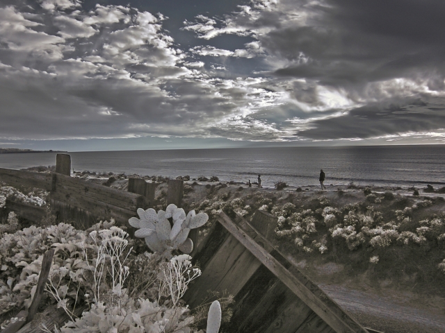 infrared-photo-del-mar-coast